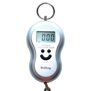 Silver Digital Luggage Scale 40kg, 88lb, 1410oz with Built in Temperature Thermometer