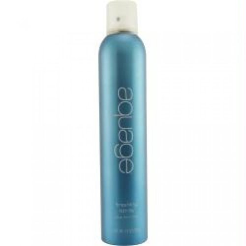 Finishing Spray/FN174613/10 oz//