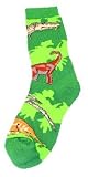 Dinosaur Mix Socks