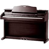 KAWAI dqsAm [YEbh PW-7