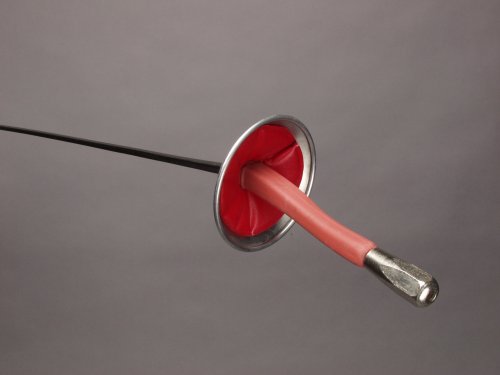 Budget complete practice fencing foil with french grip