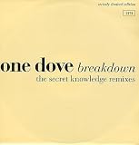 Breakdown (Secret Knowledge Remixes) [VINYL]