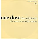 Breakdown (Secret Knowledge Remixes) [VINYL]