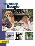 Mein gesunder Beagle