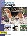 Rund um den Beagle