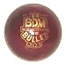 Sporting Goods : BDM Bullet Ball