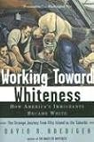 Working Toward Whiteness: How Americas Immigrants Became White: The Strange Journey from Ellis Island to the Suburbs
