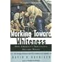 Working Toward Whiteness: How America's Immigrants Became White - The Strange Journey from Ellis Island to the Suburbs