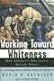 Working Toward Whiteness: How America's Immigrants Became White: The Strange Journey from Ellis Island to the Suburbs Working Toward Whiteness: How America's Immigrants Became White: The Strange Journey from Ellis Island to the Suburbs