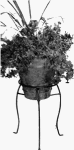 Cobraco #MG-1015BZ 10x15 Bronze Plant Stand