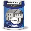masonry paint