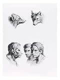 Similarities Between the Head of a Wolf and a Man Art Giclee Poster Print by Charles Le Brun, 12x16