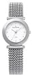 Skagen #107SSSS1 Women's Stainless Steel Expansion Mesh Band Watch