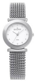Skagen #107SSSS1 Women's Stainless Steel Expansion Mesh Band Watch