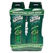 Irish Spring Body Wash Original - 2/24 oz.