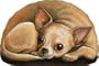 Fiddlers Elbow Chihuahua Pupper Weight