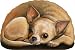   - Chihuahua - Pupper Weights