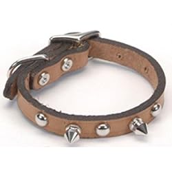 Coastal Pet Circle T Oak-Tanned Leather Mini Spiked Dog Collar (Tan, 10 Inch ...