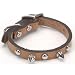 Coastal Pet Circle T Oak-Tanned Leather Mini Spiked Dog Collar (Tan, 10 Inch ...