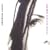 Scarlatti - Keyboard Sonatas