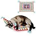 Fat Cat Kitty Hoots Boogie Mat for de Cat Fishies