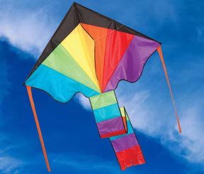 Childrens Toyshop  Toys : Delta Rainbow Flyer