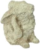 7 in Rabbit