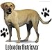 Yellow Labrador Adult T-Shirt