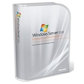 Win Svr Std with o Hyper-v 2008 32BIT/X64 DVD 10 Clt