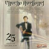 Mis 25 Anos en La Musica