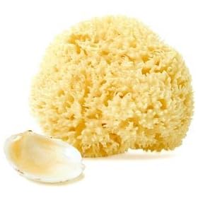 Natural Wool Sea Sponges