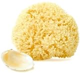 Natural Wool Sea Sponge - 5-6 Inch