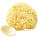 Natural Wool Sea Sponge - 5-6 Inch