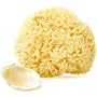 Natural Wool Sea Sponges