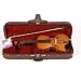 Bala Mare Viola Outfit 15 1/2