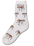 Bulldog Poses Socks