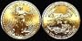 American Eagle Gold Bullion Coin One Ounce