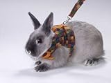 Peters Rabbit Walking Jacket