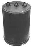 1991-1995 Fuel Vapor Canister