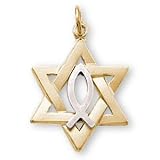 24K Gold-Plated Sterling Silver Interfaith Pendant and 18-inch Chain