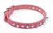 Coastal Pet Circle T Oak-Tanned Leather Mini Spiked Dog Collar (Pink, 12 Inch L x 3/8...