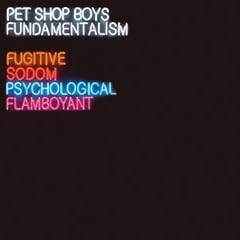 Fundamentalism [12" VINYL]