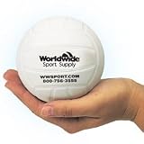 Tachikara Worldwide 4 Mini Volleyball