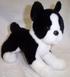 Douglas Cuddle Scooter Boston Terrier Dog