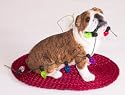 BULLDOG Dogs Holiday / Christmas Ornament Sandicast New
