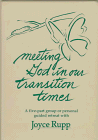 Review Ave Maria Press  / Meeting God in Our Transition Times