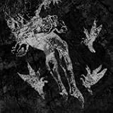 From Which of This Oak [Vinyl]