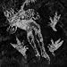 Agalloch-From Which of This Oak [Vinyl]