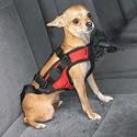 Car Safety Vest Dog Harness Size: Extra Small