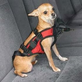Car Safety Vest Dog Harness Size: Extra Small